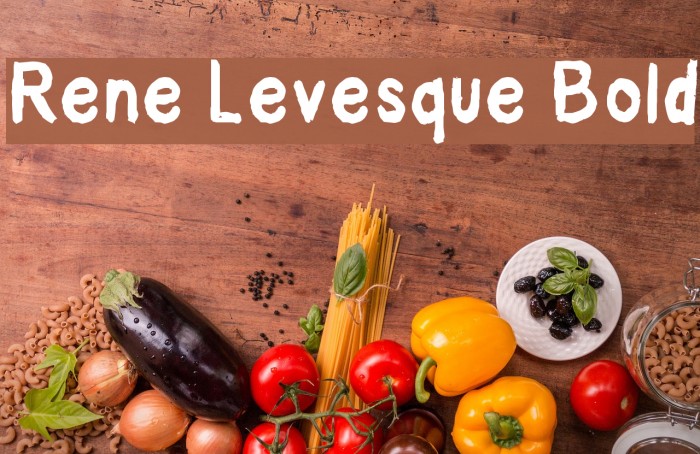 Rene Levesque Bold Font examples