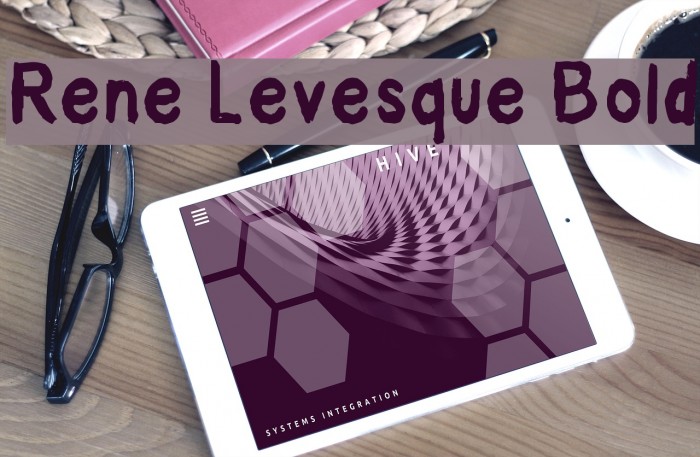 Rene Levesque Bold Font examples