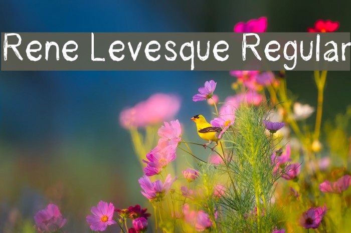 Rene Levesque Regular Example 1