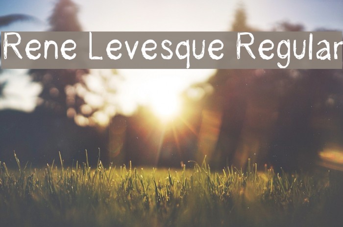 Rene Levesque Regular Example 2