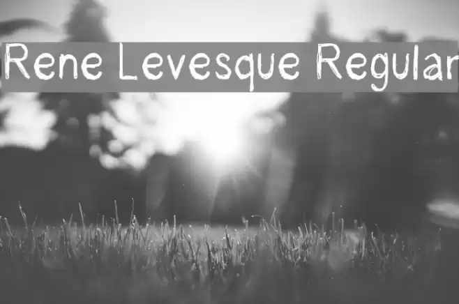 Rene Levesque Regular Font examples
