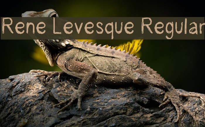 Rene Levesque Regular Example 3