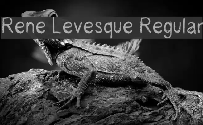Rene Levesque Regular Font examples