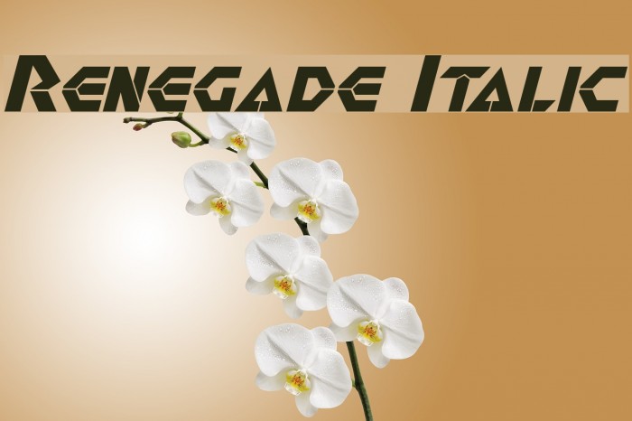 Renegade Italic Шрифта examples