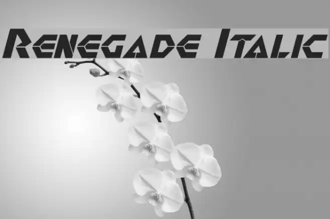 Renegade Italic Шрифта examples