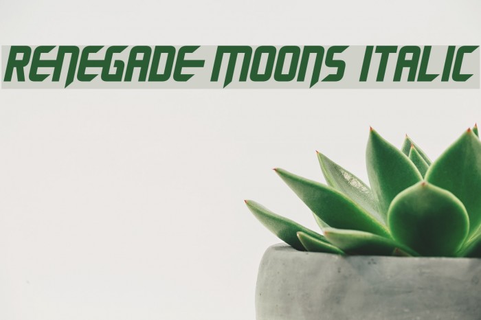 Renegade Moons Italic Font examples