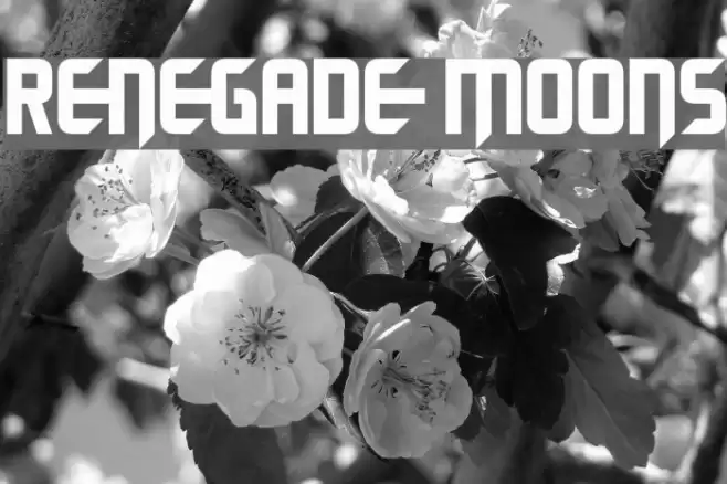 Renegade Moons Font examples