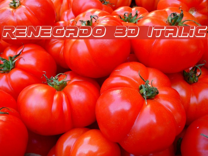 Renegado 3D Italic Example 1