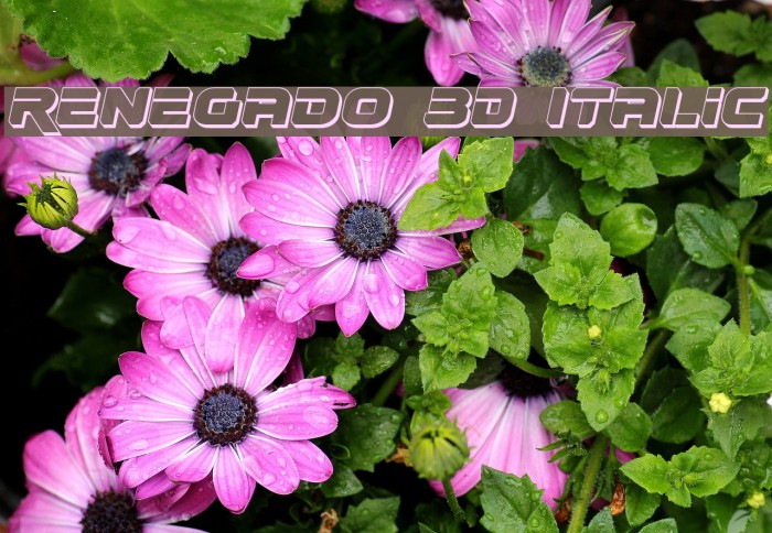 Renegado 3D Italic Example 3