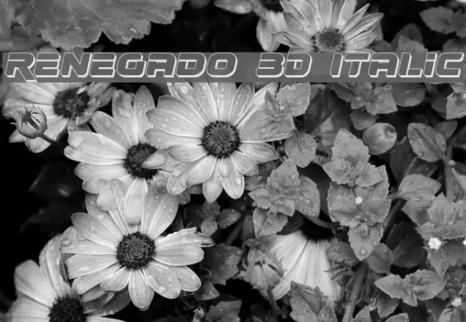 Renegado 3D Italic Font examples