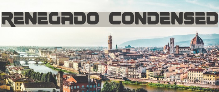 Renegado Condensed Example 1