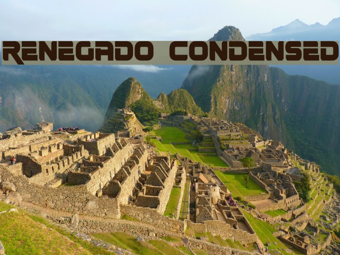 Renegado Condensed Example 2