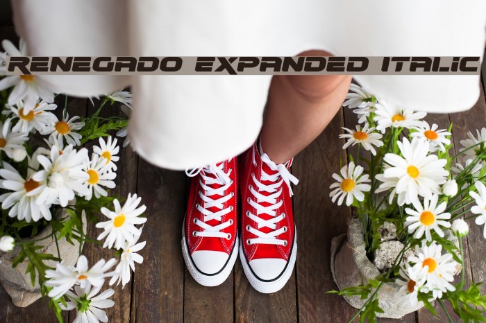 Renegado Expanded Italic Font examples