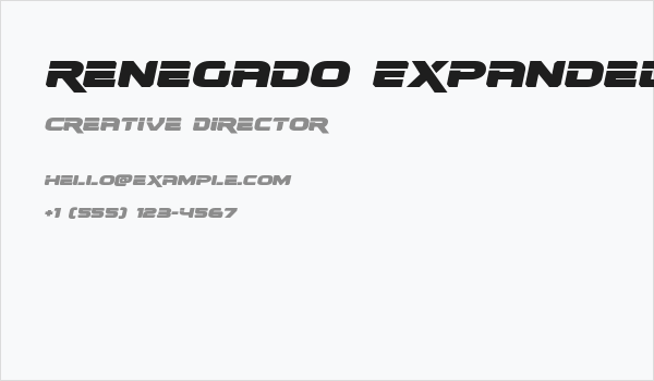 Renegado Expanded Italic Business Card