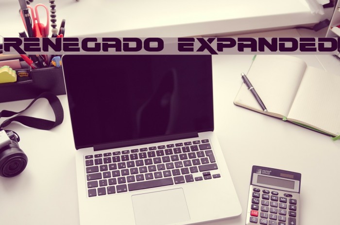 Renegado Expanded Example 1