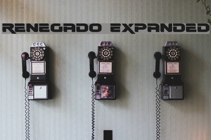 Renegado Expanded Example 2