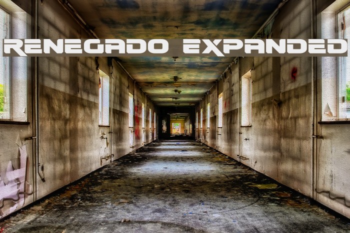 Renegado Expanded Example 3