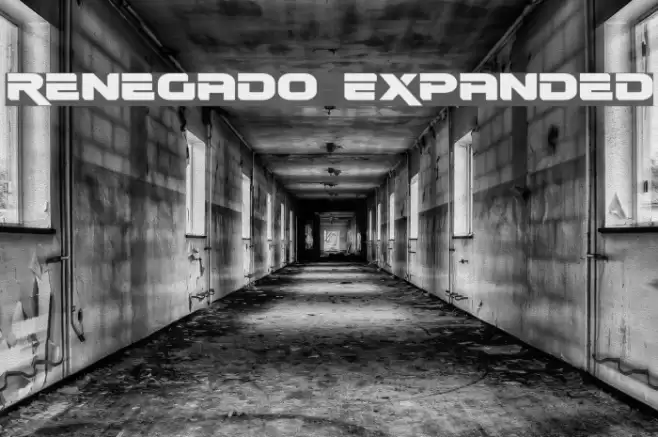 Renegado Expanded Font examples