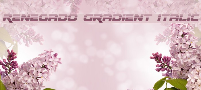 Renegado Gradient Italic Font examples