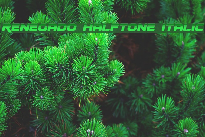 Renegado Halftone Italic Font examples