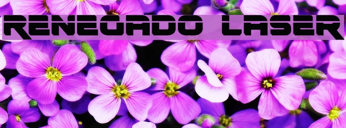 Renegado Laser Example 1