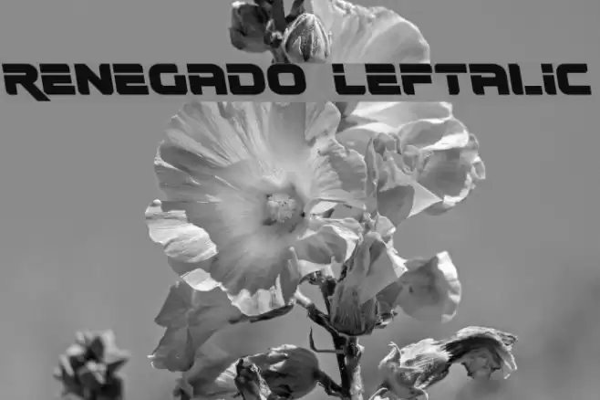 Renegado Leftalic Font examples