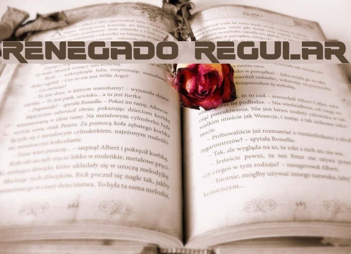 Renegado Regular Font examples