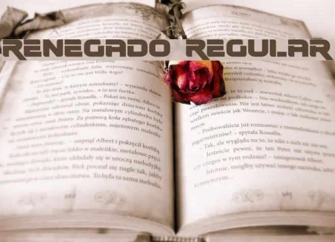 Renegado Regular Example 2