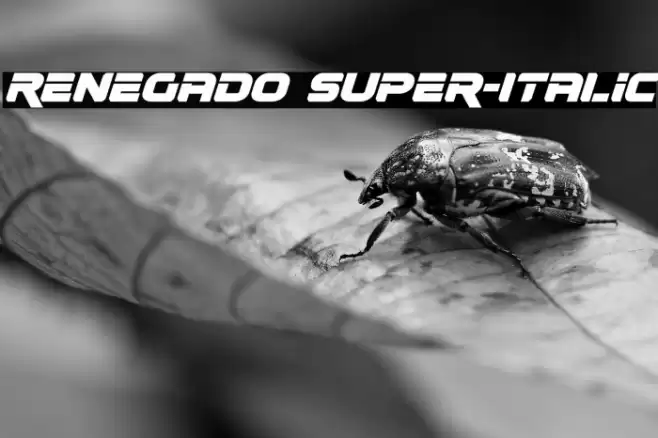 Renegado Super-Italic Font examples