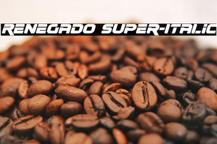 Renegado Super-Italic Example 2