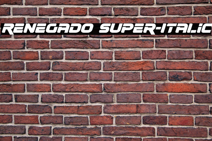 Renegado Super-Italic Example 3