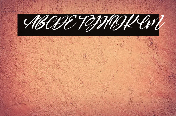 Renesmee Italic Example 2