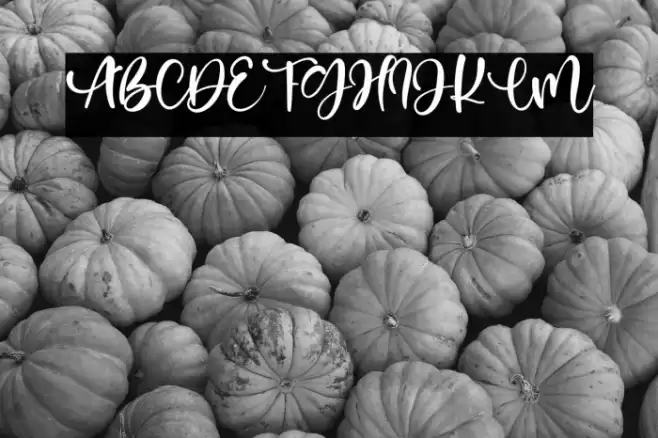 Renesmee Font examples