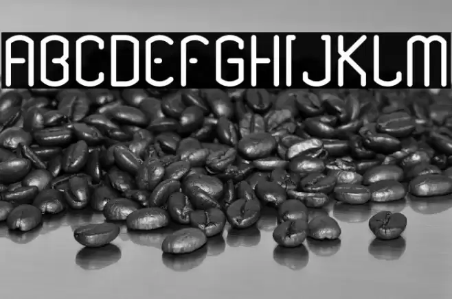 Renesnip Sans Regular Font examples