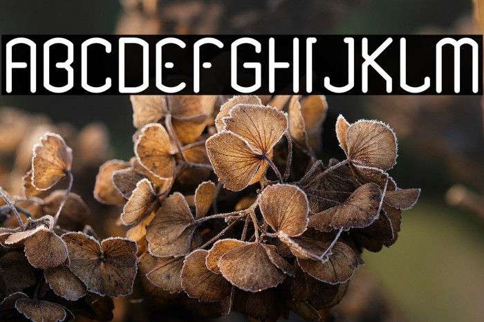 Renesnip Sans Regular Example 3