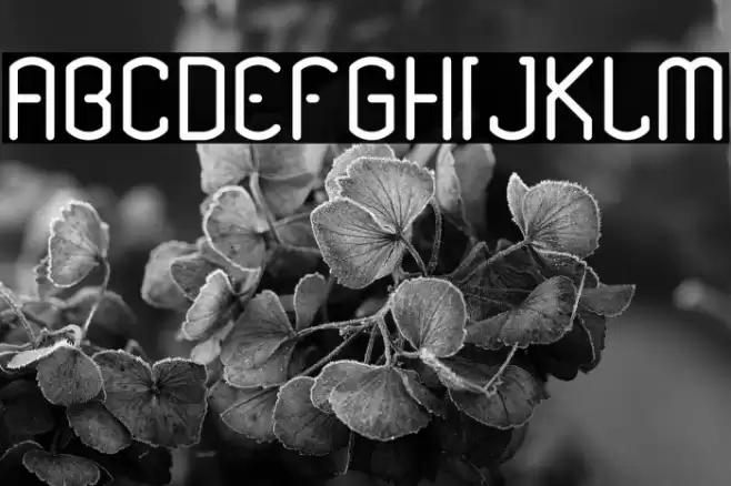 Renesnip Sans Regular Font examples