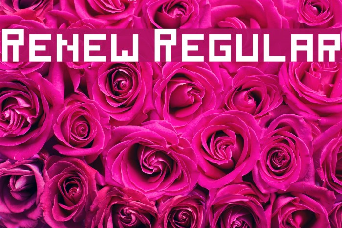 Renew Regular Example 1