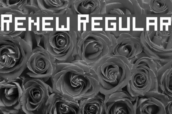 Renew Regular Font examples