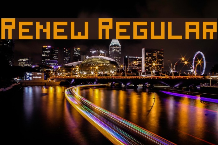 Renew Regular Example 2