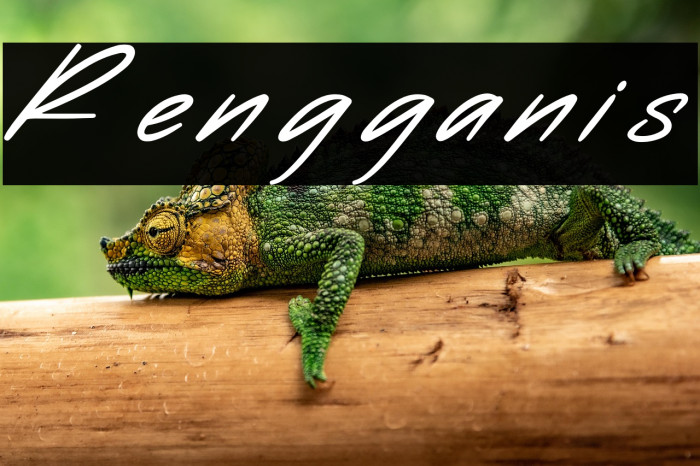 Rengganis Example 1