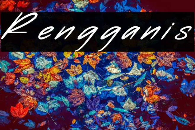 Rengganis Example 2