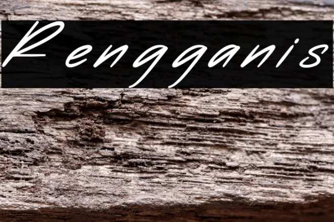 Rengganis Example 3