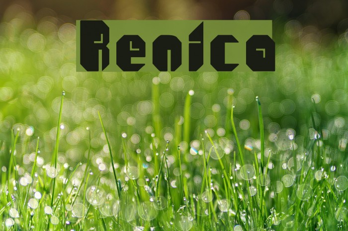 Renica Font examples