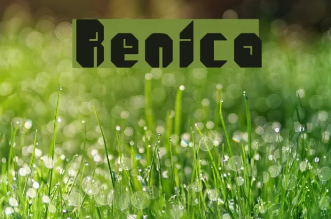 Renica Example 1
