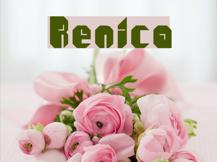 Renica Font examples