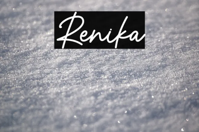 Renika Example 1