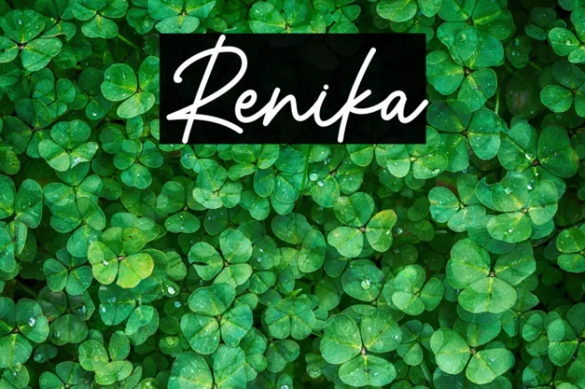Renika Example 2