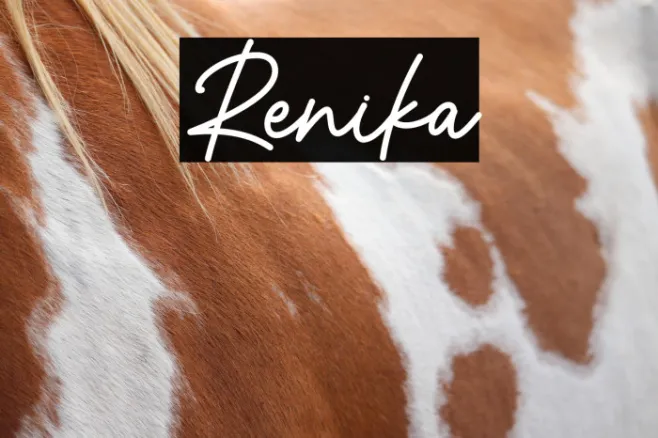 Renika Example 3