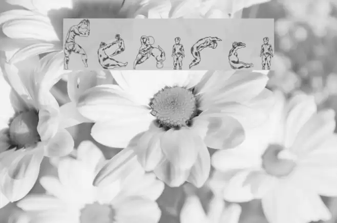 Renisci Font examples