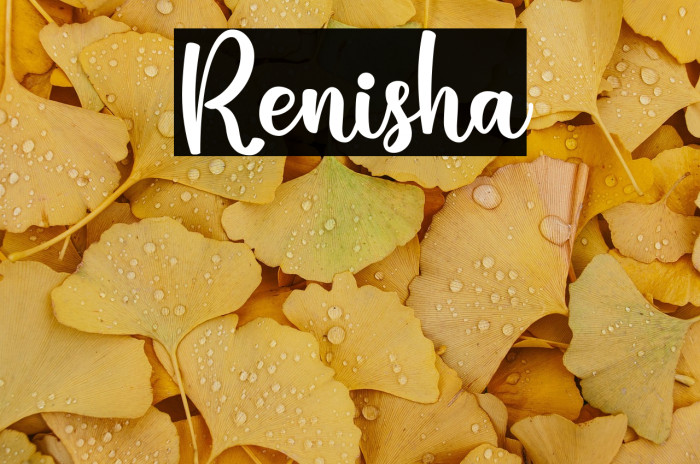 Renisha Example 1